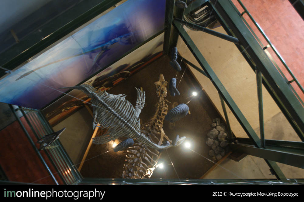 Οι δεινόσαυροι της Παταγονίας στην Κρήτη