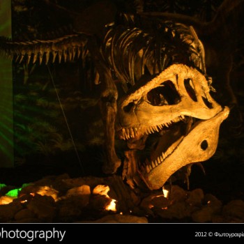 Οι δεινόσαυροι της Παταγονίας στην Κρήτη