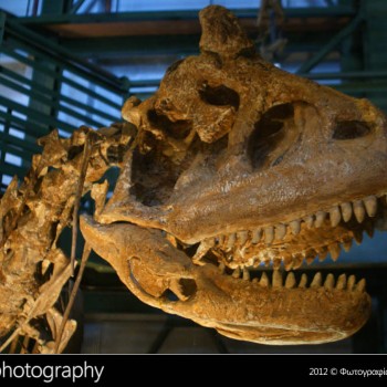 Οι δεινόσαυροι της Παταγονίας στην Κρήτη