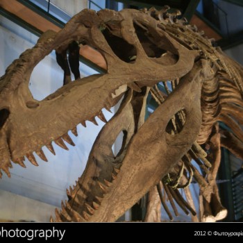 Οι δεινόσαυροι της Παταγονίας στην Κρήτη