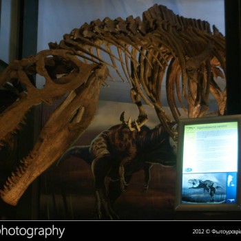 Οι δεινόσαυροι της Παταγονίας στην Κρήτη