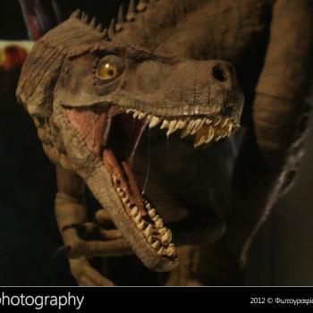 Οι δεινόσαυροι της Παταγονίας στην Κρήτη