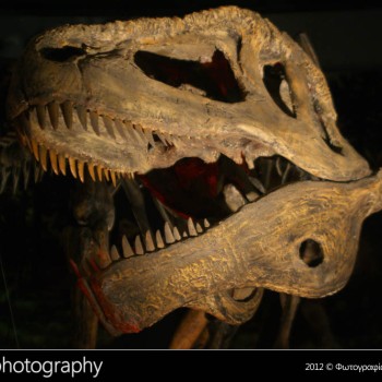 Οι δεινόσαυροι της Παταγονίας στην Κρήτη