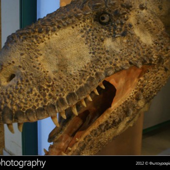 Οι δεινόσαυροι της Παταγονίας στην Κρήτη