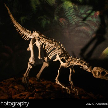 Οι δεινόσαυροι της Παταγονίας στην Κρήτη