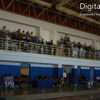 Ανδρόγεια 2010