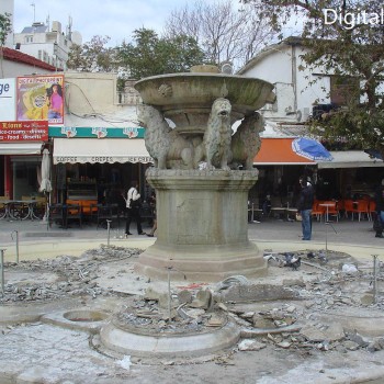 Εργασίες Καθαρισμού Δεξαμενών Λιονταριών