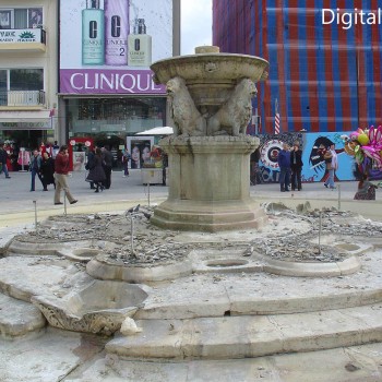 Εργασίες Καθαρισμού Δεξαμενών Λιονταριών