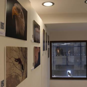 The Art of Social Media 2024