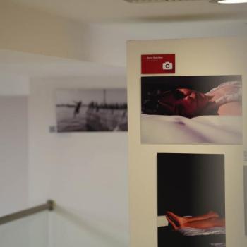 The Art of Social Media 2023