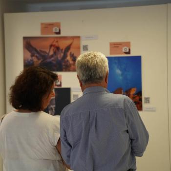 The Art of Social Media 2024