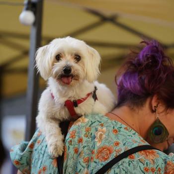 Cretan Comic Con 2024